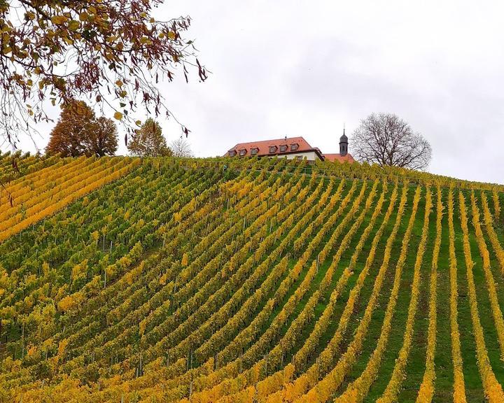 Zur Mainaussicht